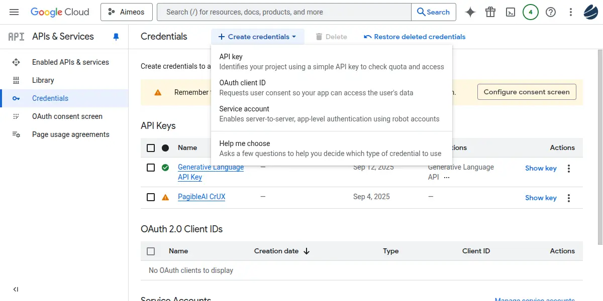 Google Cloud API credentials management.
