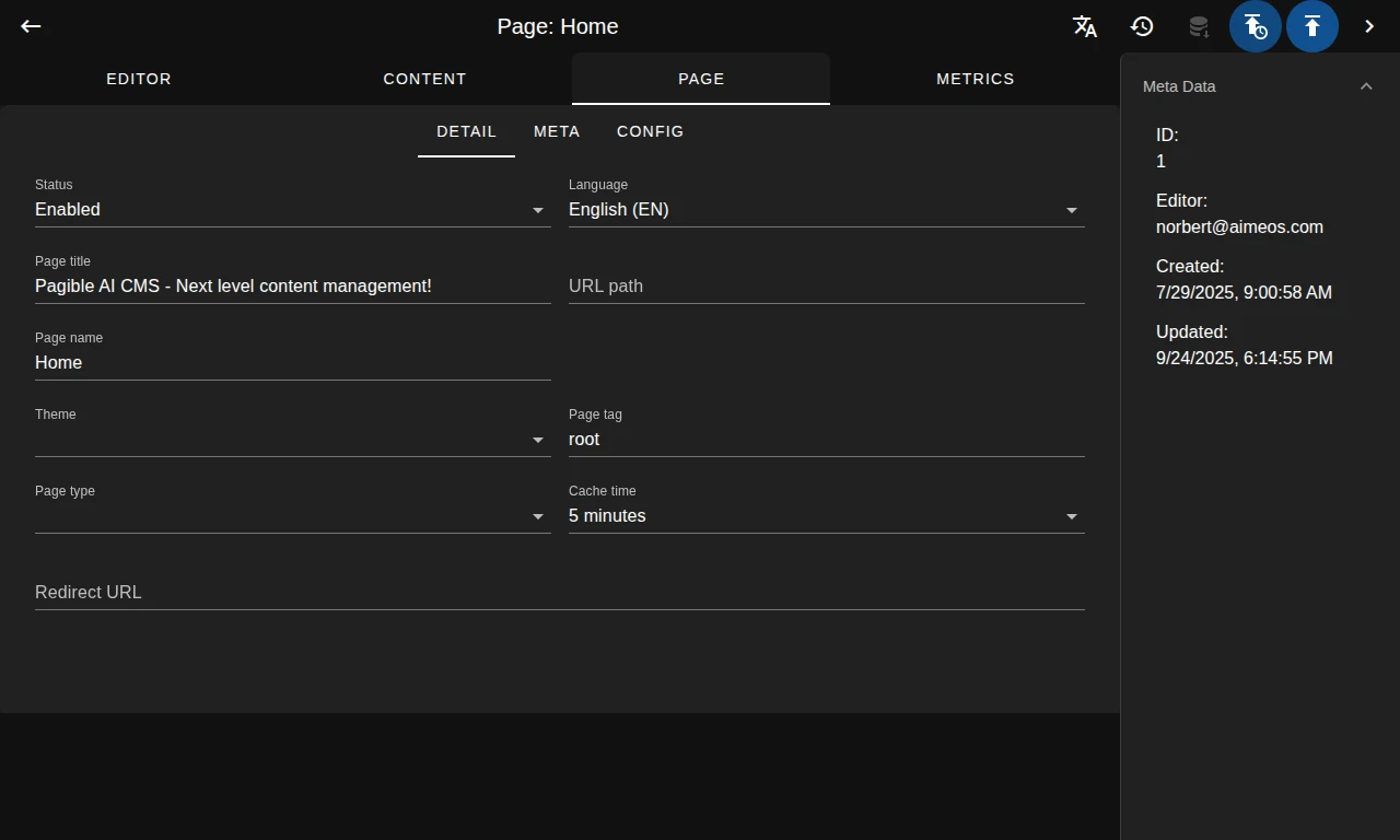 Content management system page details and metadata.