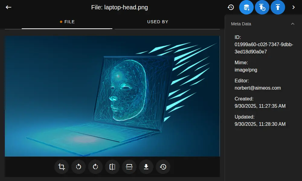 pagible-files-edit.png